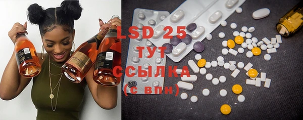 PSILOCYBIN Зерноград